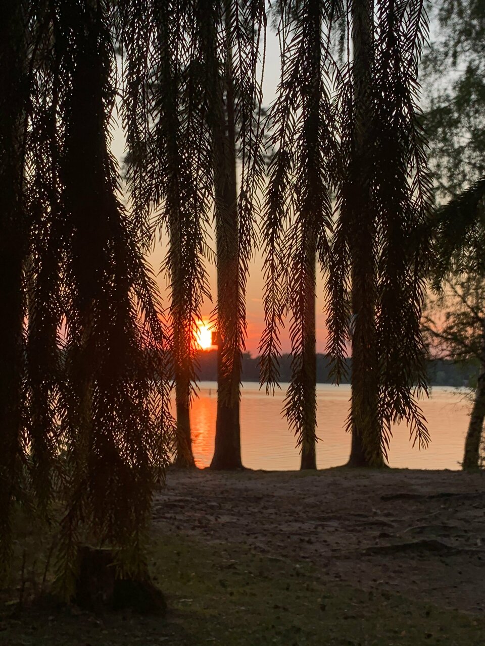 Гостиница Конаково Конаково