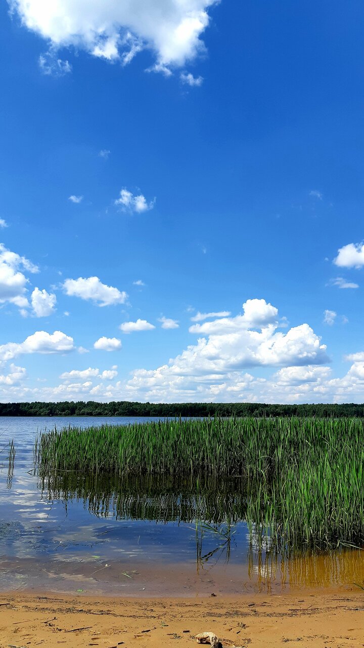 Гостиница Конаково Конаково-203