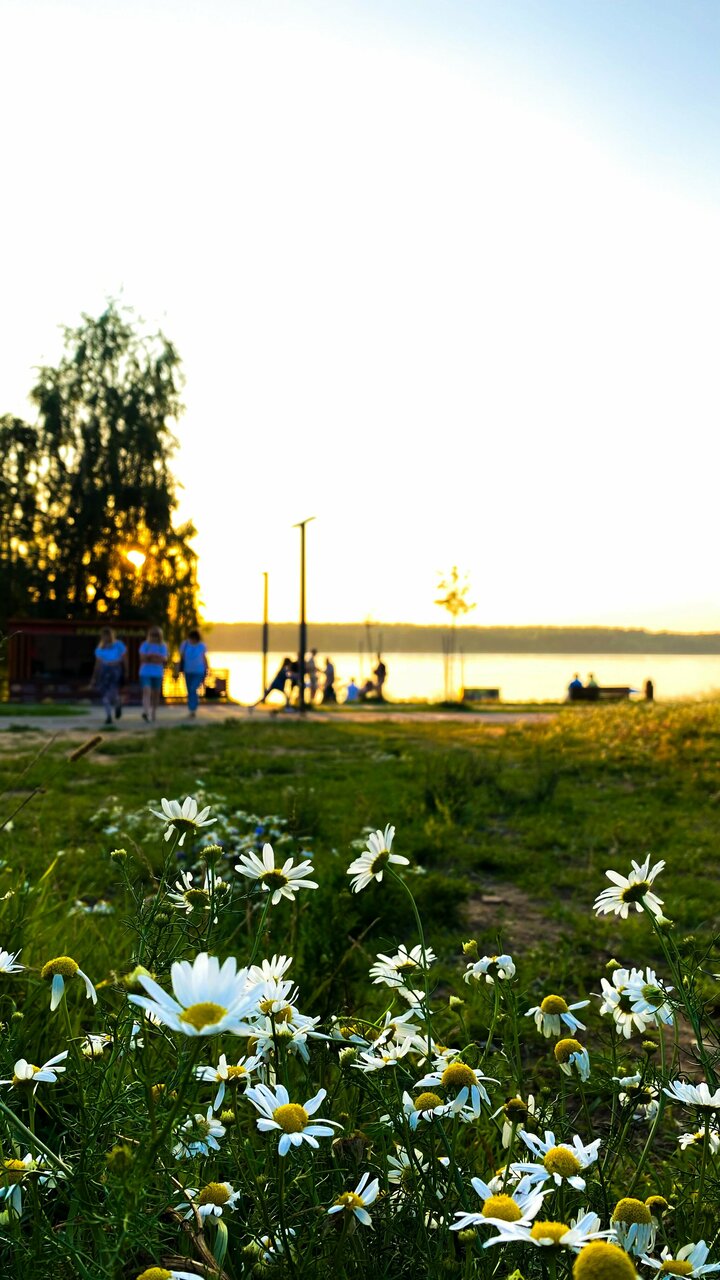 Гостиница Конаково Конаково-23