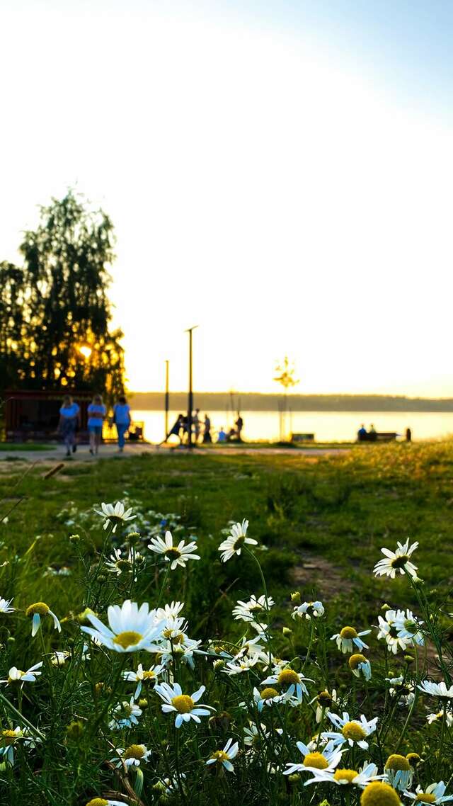 Гостиница Конаково Конаково-22